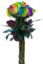 Rainbow Roses