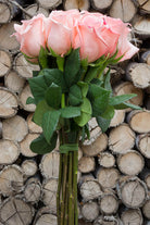 Imagination Rose