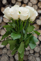 Escimo White Rose