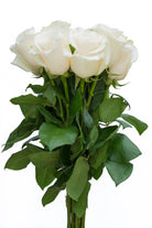 Escimo White Rose