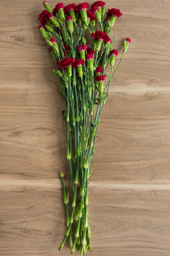 Red Mini Carnations
