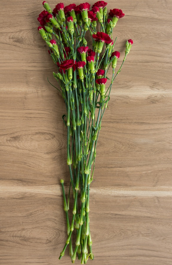 Red Mini Carnations
