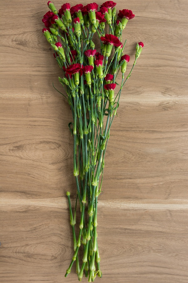 Red Mini Carnations