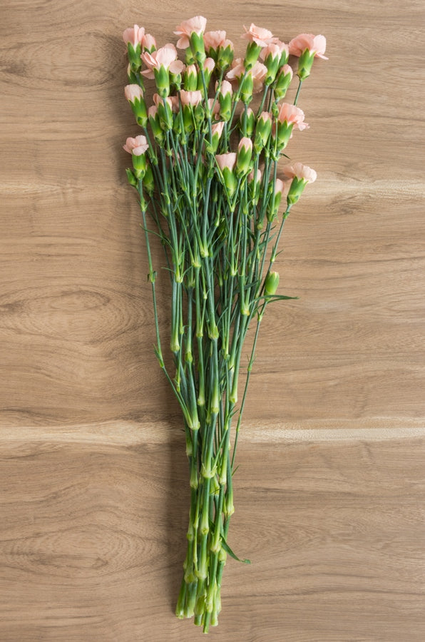 Peach Mini Carnations