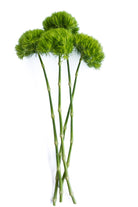 Green Ball