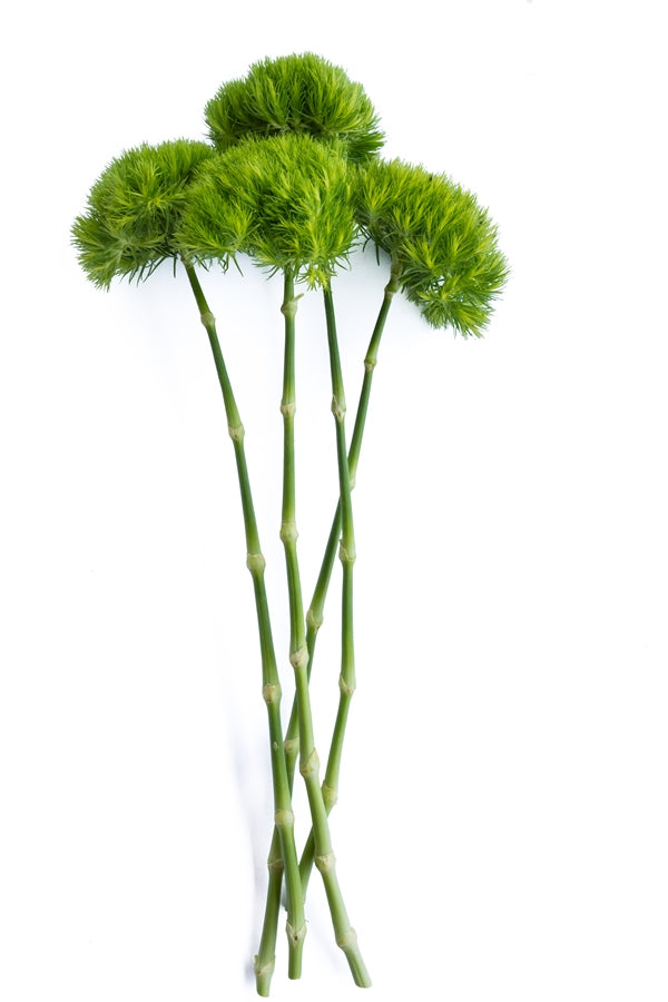 Green Ball
