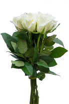 Polar Star White Rose