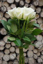Polar Star White Rose