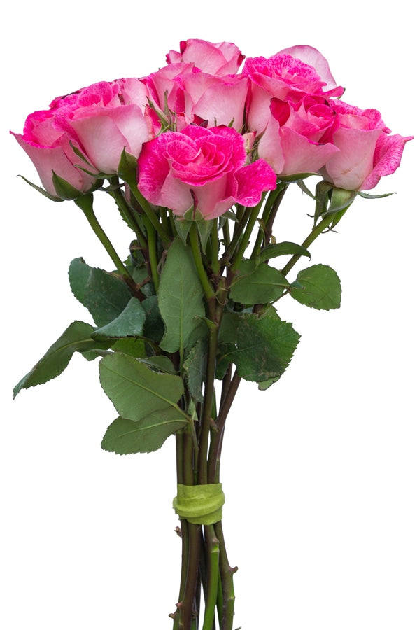 Pink & White Spray Roses