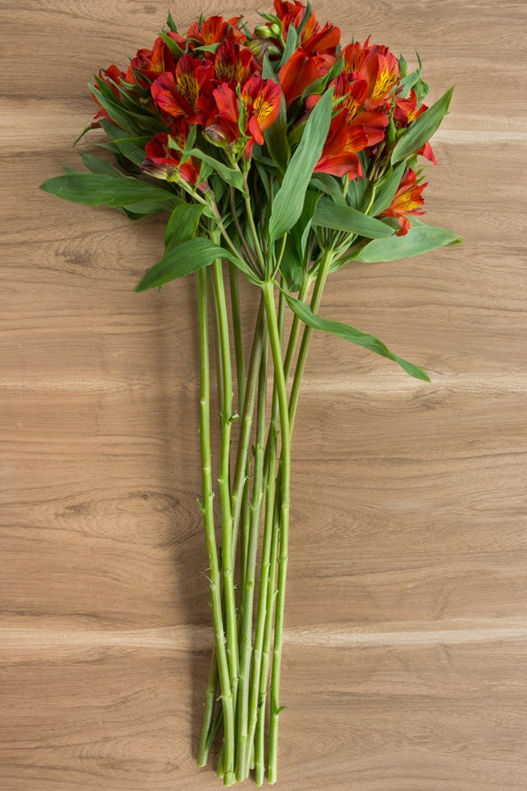 Burnt Orange Alstroemerias