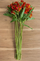 Burnt Orange Alstroemerias