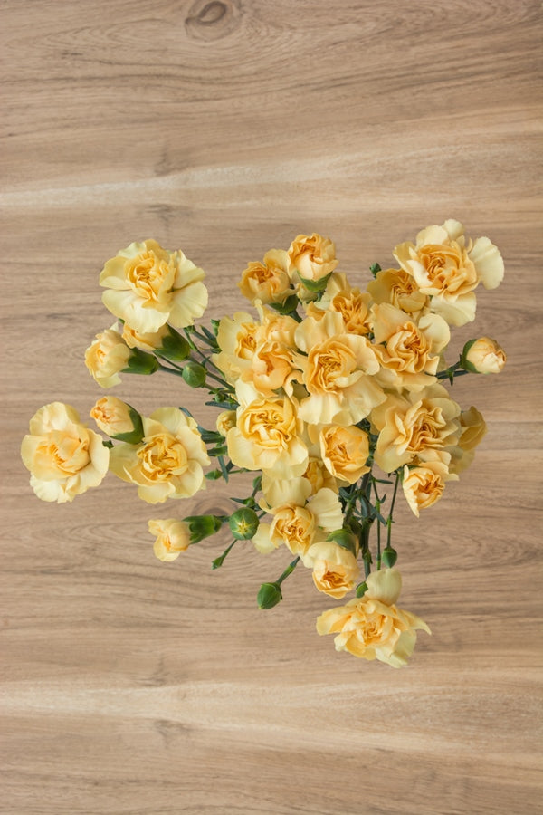 Yellow Mini Carnations