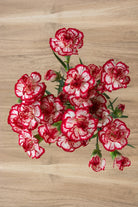 Red and White Mini Carnations