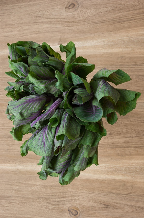 Kale - Cabbage Ornamental Purple