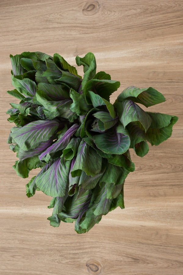 Kale - Cabbage Ornamental Purple
