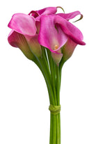 Hot Pink Mini Callas
