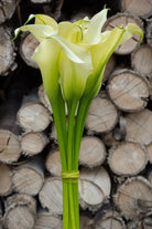 White Mini Calla