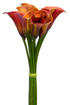Orange Mini Calla