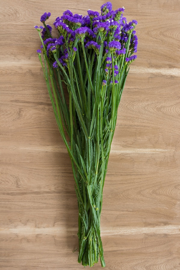 Purple Statice