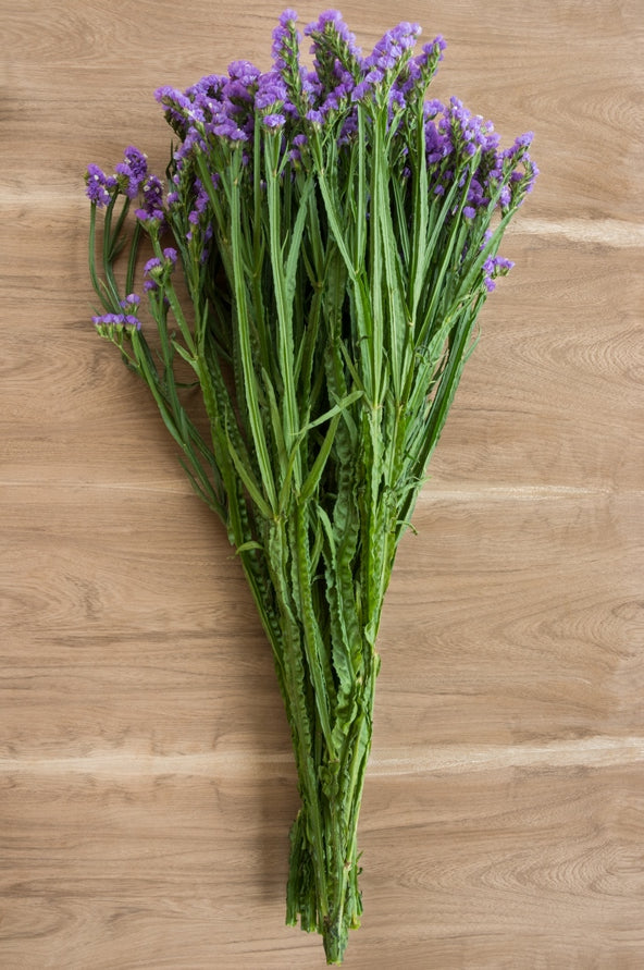 Lavender Statice