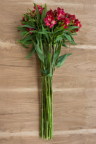 Red Alstroemerias