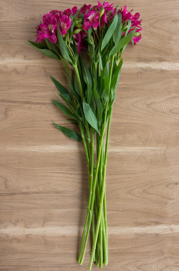 Hot Pink Alstroemerias