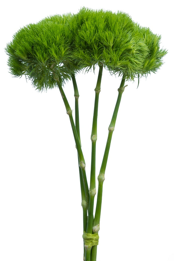 Green Ball