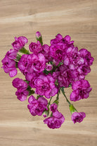 Purple & White Mini Carnations