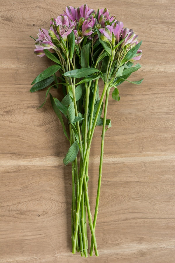 Lavender Alstroemerias