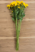 Yellow Daisy Poms