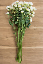 White Daisy Poms