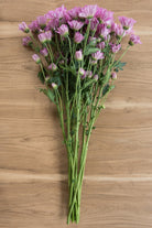 Lavender Daisy Poms