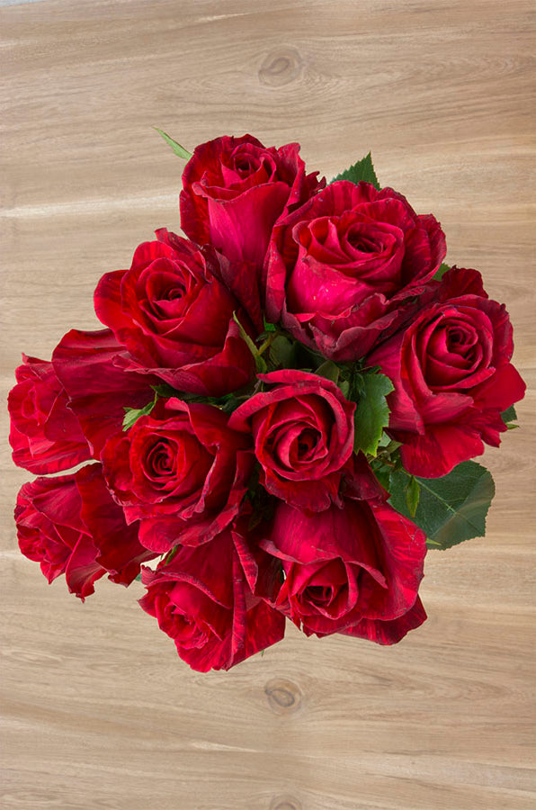 Red Intuition Rose (Exclusive)