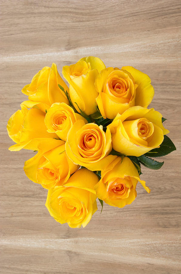 Kerio Yellowr Rose