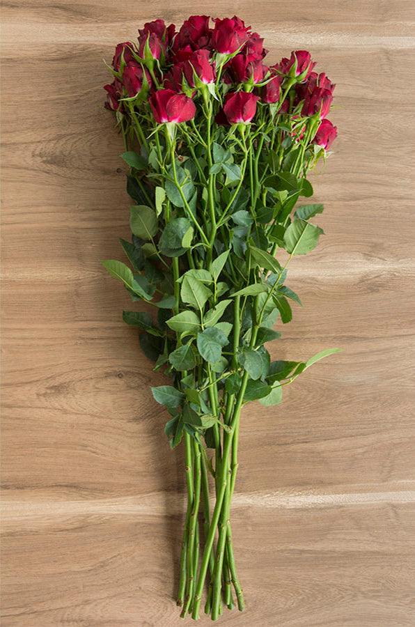 Drak Red Spray Roses