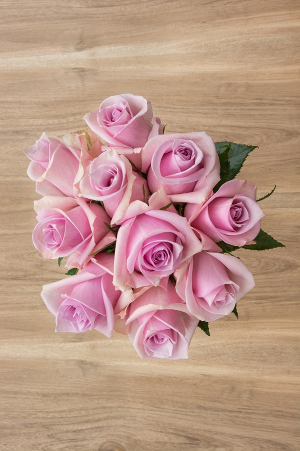 Silverstone Lavender Rose