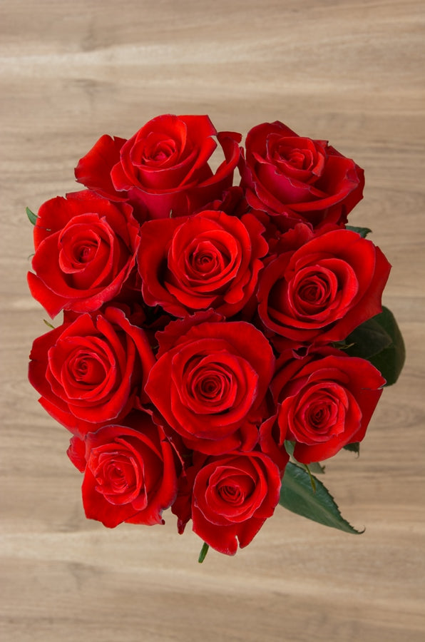 Red Unique Rose