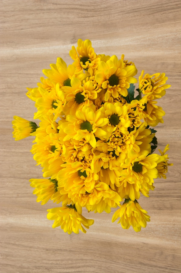 Yellow Daisy Poms