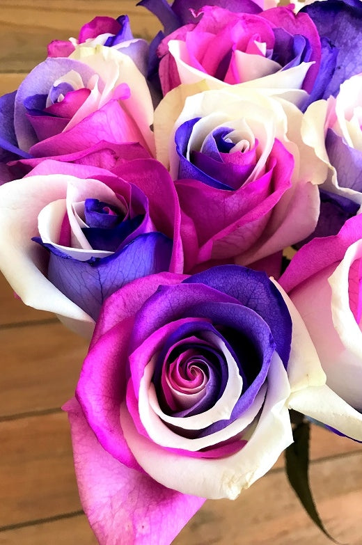 unicorn roses