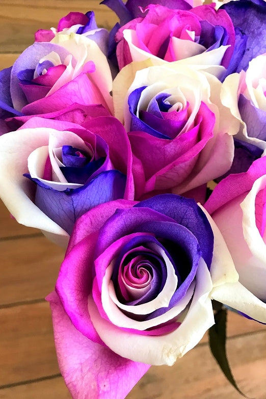 unicorn roses