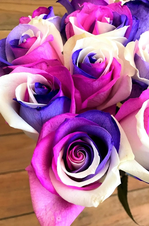 unicorn roses