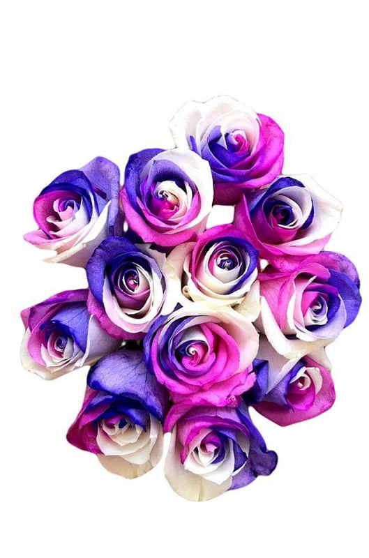 unicorn tinted roses