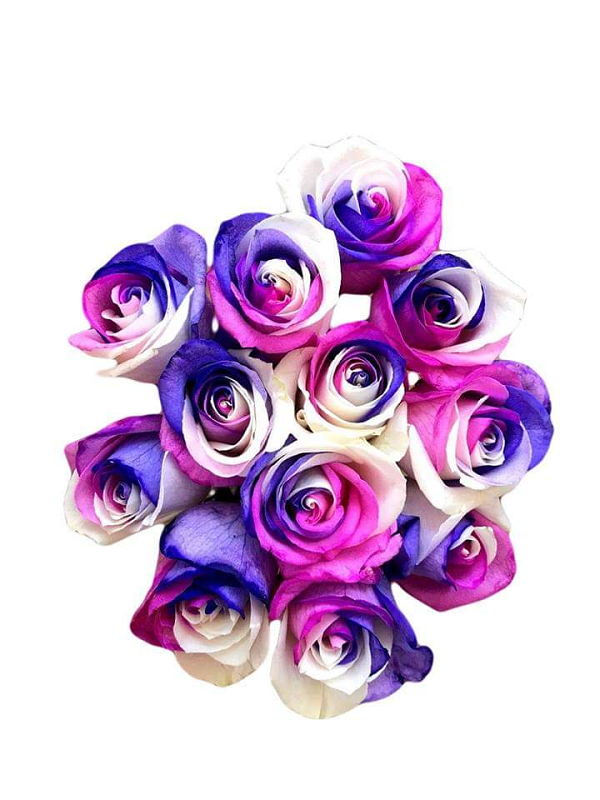 unicorn tinted roses