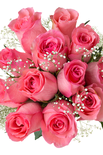 light pink roses with filler vday