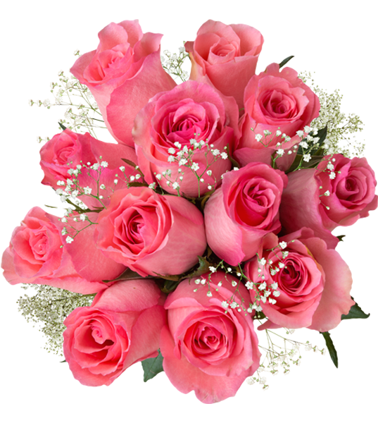 light pink roses with filler vday