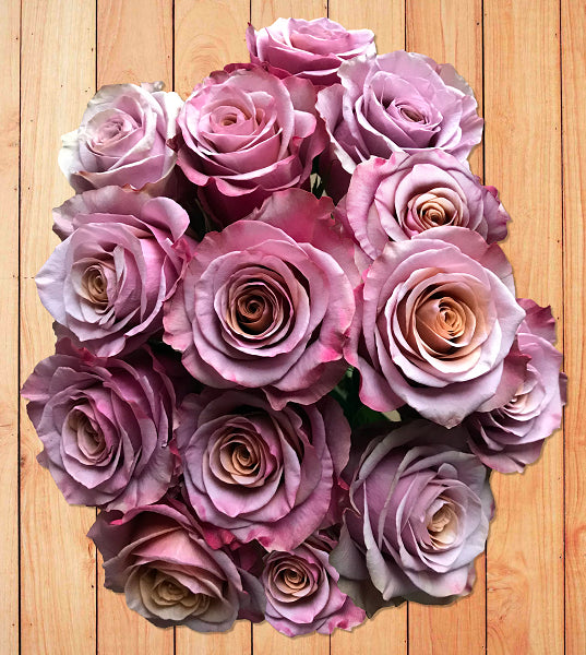 Antique Purple Moon Rose