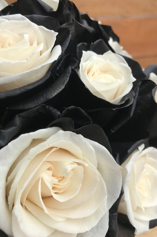 white and black rose