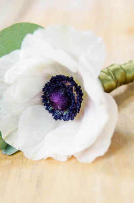Anemone White Boutonniere
