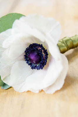 Anemone White Boutonniere