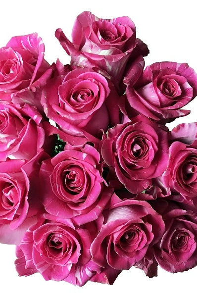 bouquet wild topaz roses